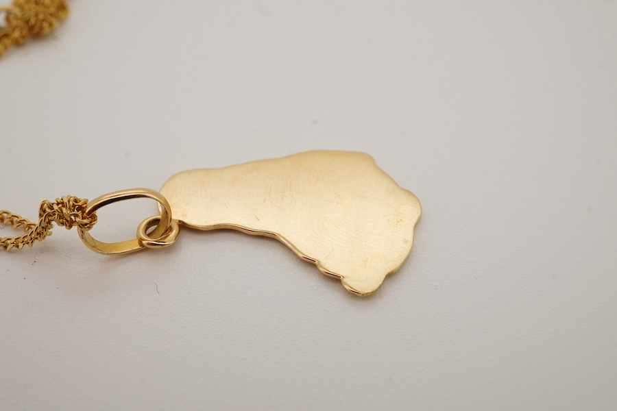 A yellow metal 'Barbados' pendant, 22mm, on a 10kt fine link chain, gross weight 4 grams. Condition - fair to good